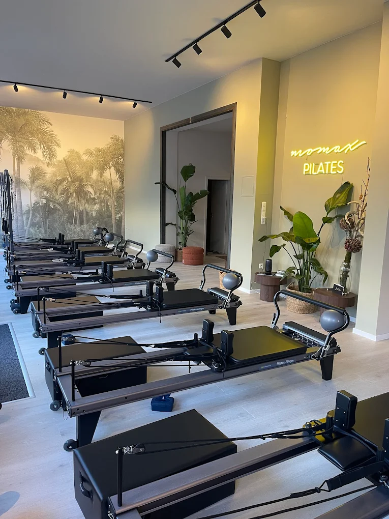 momax-pilates-ehrengut-2.webp